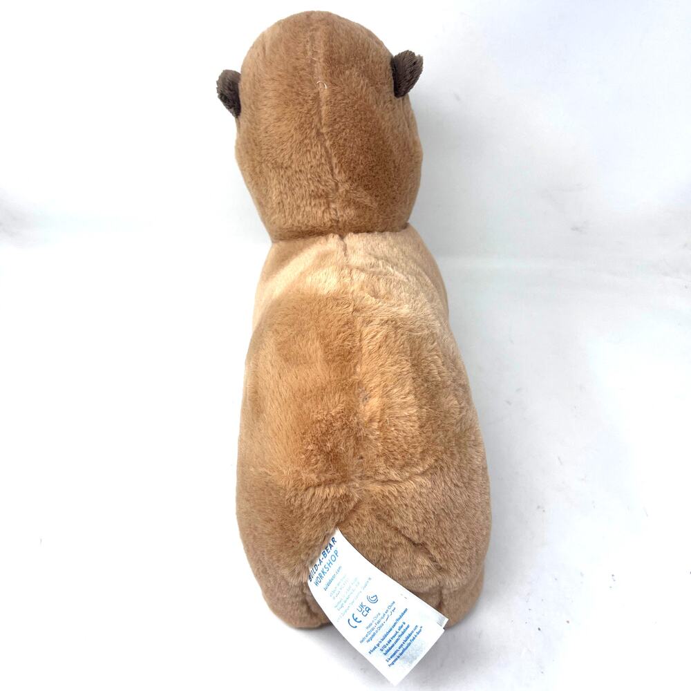 Build‎ a Bear Capybara Plush 14" Stuffed Animal Brown Tan 2024 Online Exclusive - Picture 4 of 7